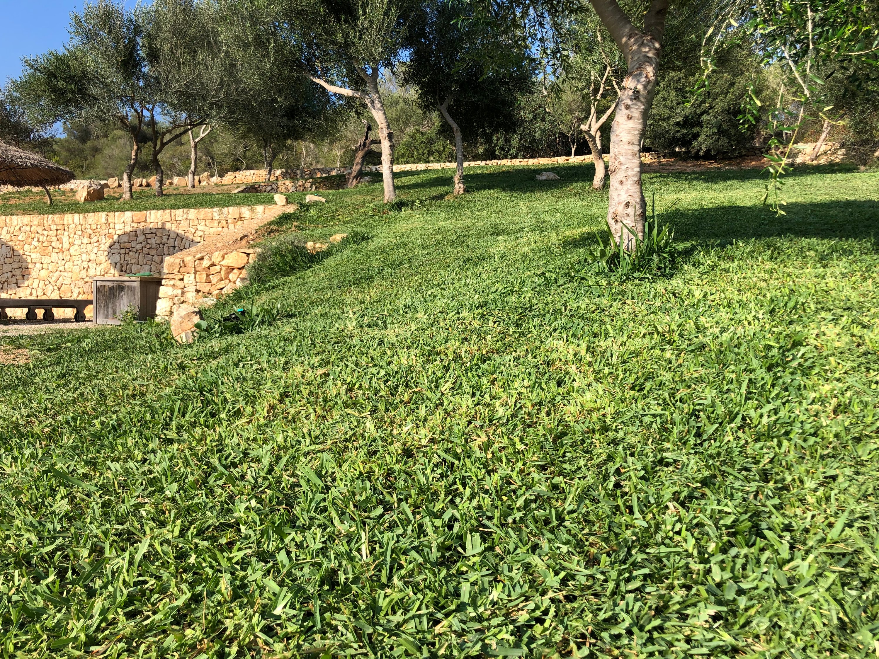 Oase fernab des Trubels